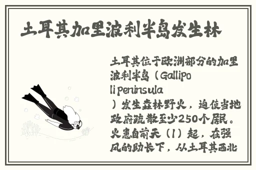 一边亲着一面膜胸